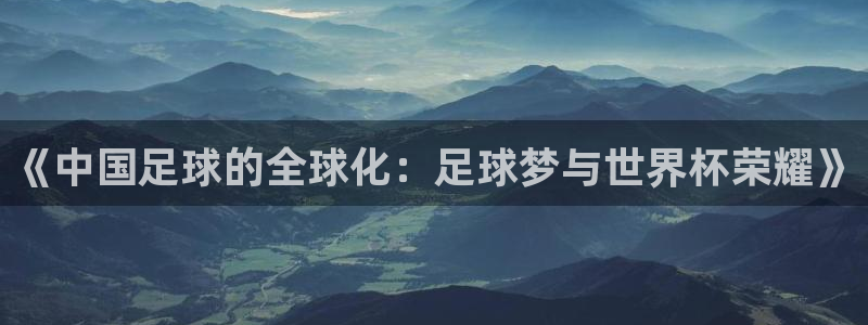 世界杯直播：《中国足球的全球化：足球梦与世界杯荣耀》