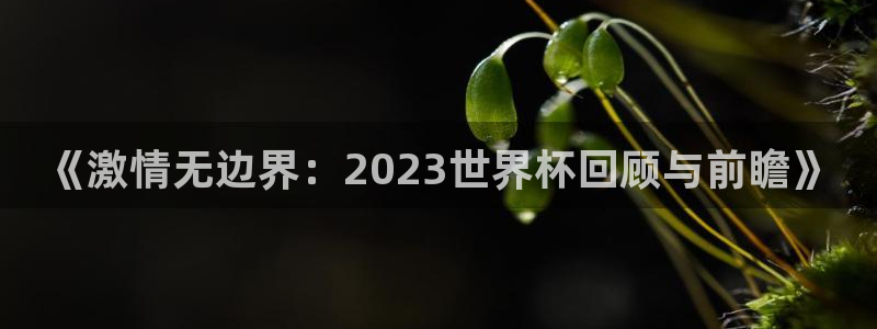 世界杯决赛直播：《激情无边界：2023世界杯回顾与前瞻》