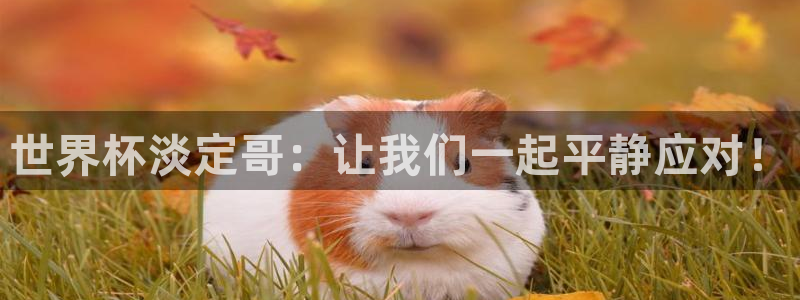 世界杯在线直播入口：世界杯淡定哥：让我们一起平静应对！