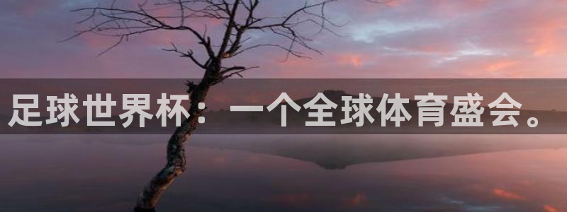 欧洲世预赛赛程表：足球世界杯：一个全球体育盛会。