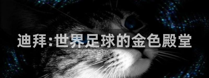 世界杯赛程表：迪拜:世界足球的金色殿堂