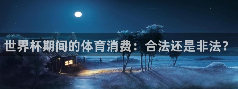 世界杯视频：世界杯期间的体育消费：合法还是非法？