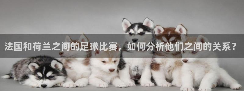 亚洲杯比赛直播：法国和荷兰之间的足球比赛，如何分析他们之间的关系？