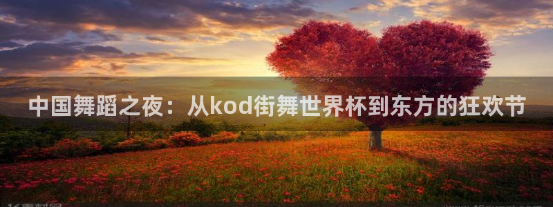 世界杯预选赛亚洲区赛程：中国舞蹈之夜：从kod街舞世界杯到东方的狂欢节