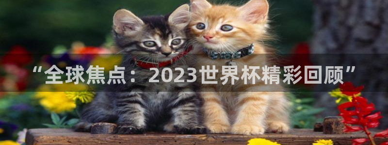 世界杯比赛赛程：“全球焦点：2023世界杯精彩回顾”