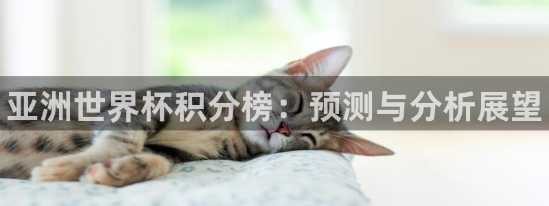 法国杯2026赛程表：亚洲世界杯积分榜：预测与分析展望