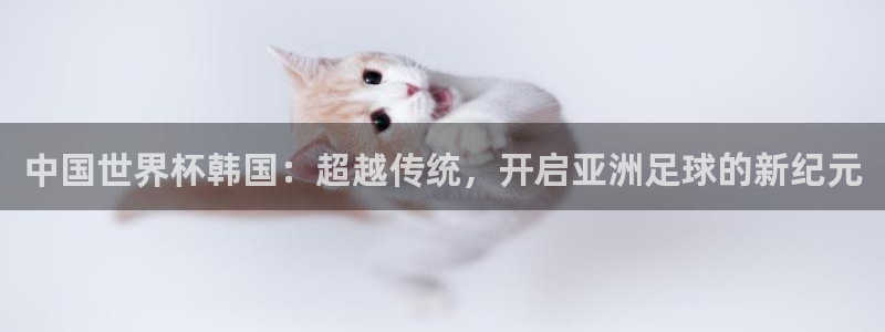 世界杯亚洲预选赛18强赛程：中国世界杯韩国：超越传统，开启亚洲足球的新纪元