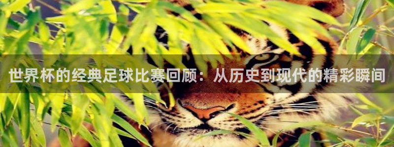 世界杯足球直播：世界杯的经典足球比赛回顾：从历史到现代的精彩瞬间